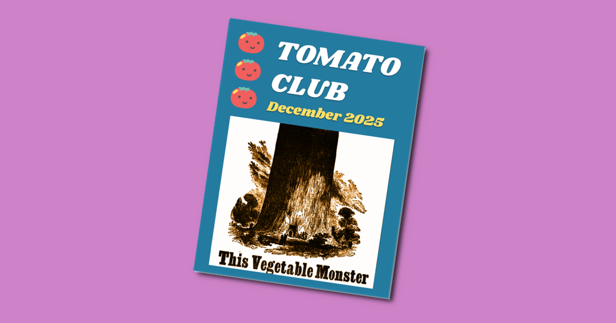 🍅2025 Review - How was your Year?
